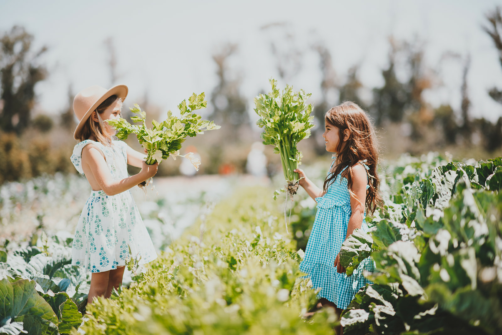 Fall Nutrition Tips for Growing Kids: Seasonal Superfoods to Add to Their Diet