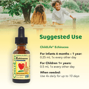 Echinacea