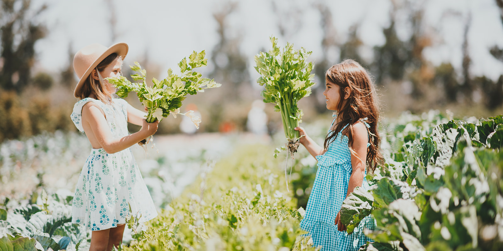 Fall Nutrition Tips for Growing Kids: Seasonal Superfoods to Add to Their Diet