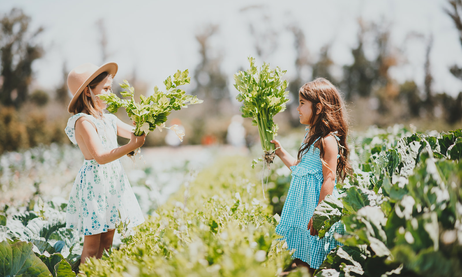 Fall Nutrition Tips for Growing Kids: Seasonal Superfoods to Add to Their Diet