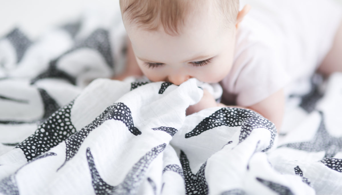 Supporting Your Baby’s Visual & Cogitative Development Through Sensory Play