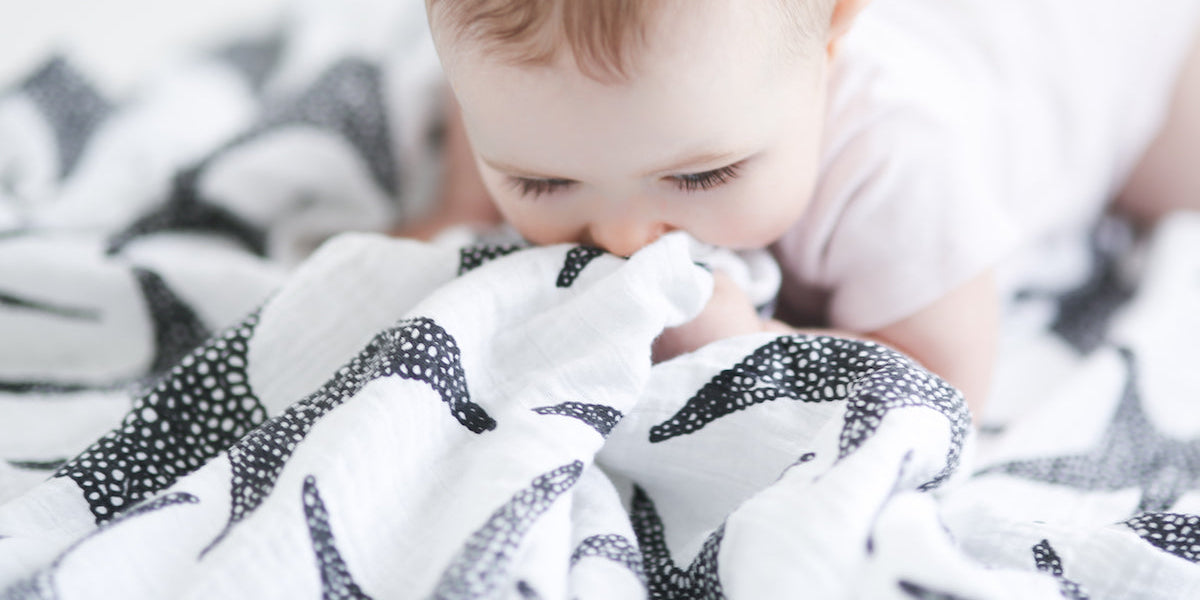 Supporting Your Baby’s Visual & Cogitative Development Through Sensory Play
