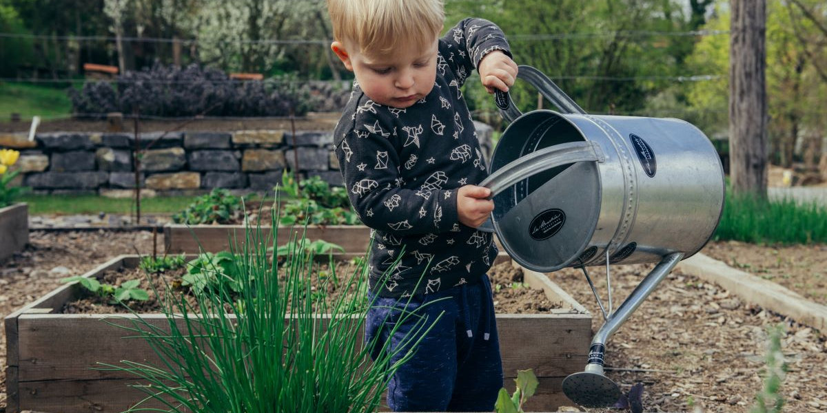 Growing a Garden (Get Kids Excited About Veggies)