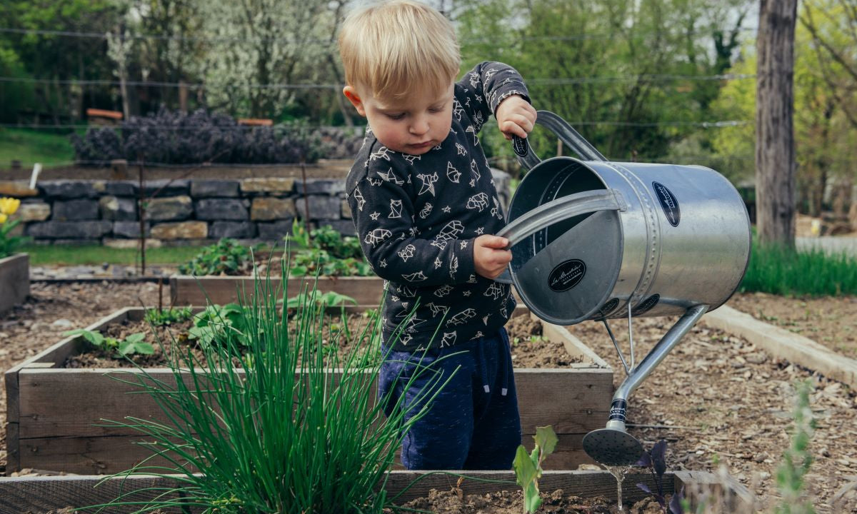 Growing a Garden (Get Kids Excited About Veggies)