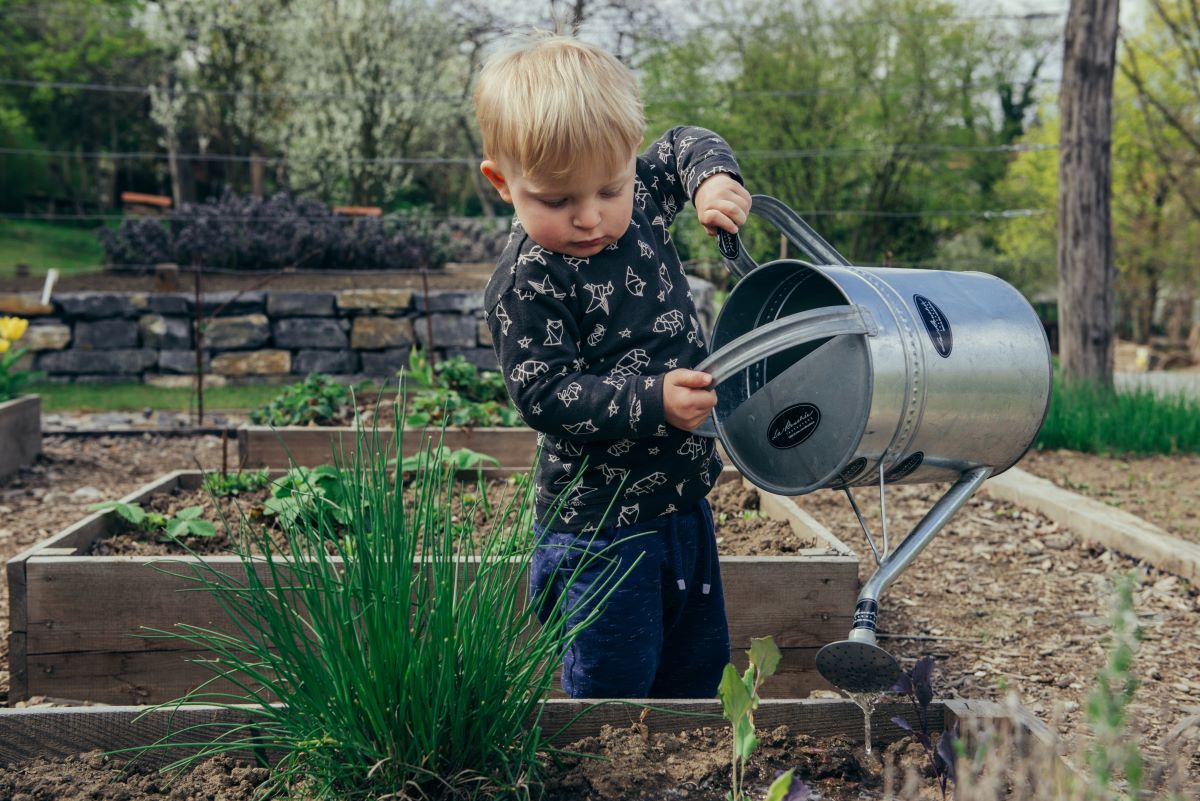 Growing a Garden (Get Kids Excited About Veggies)