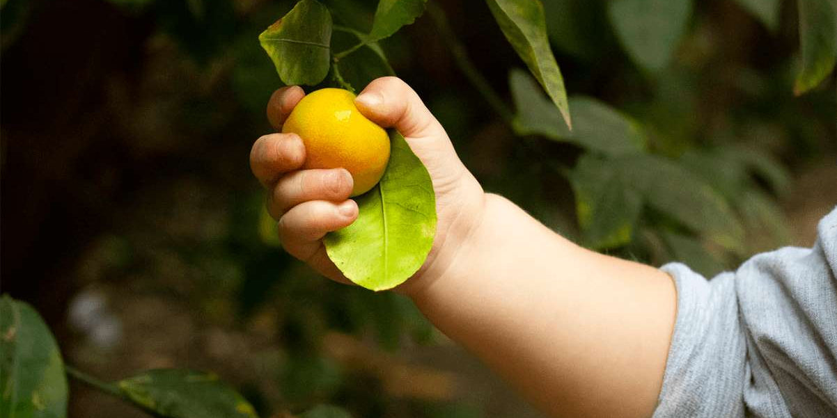 The Importance of Vitamin C for Your Child’s Health