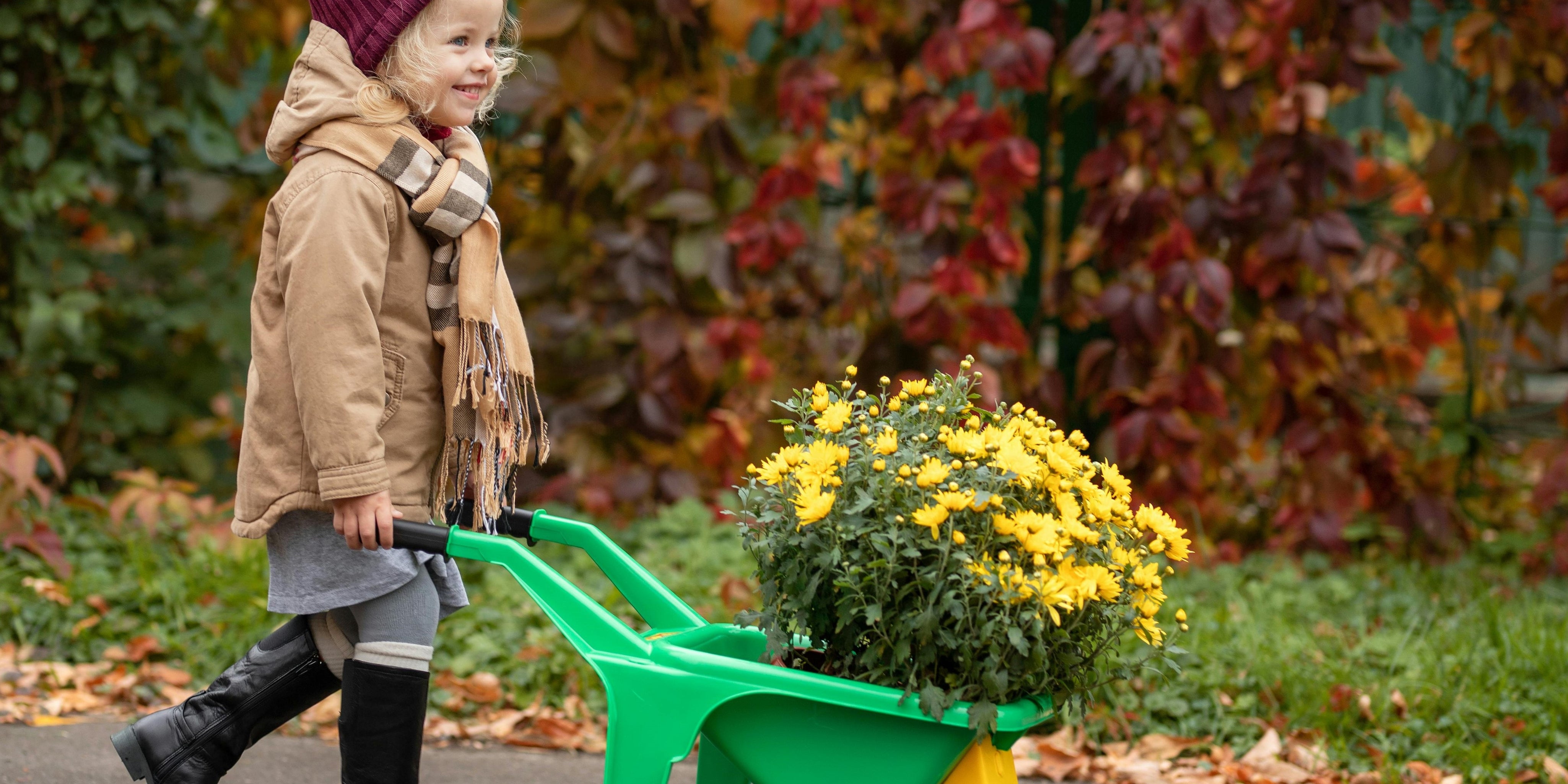 5 Natural Remedies Every Parent Should Have This Fall