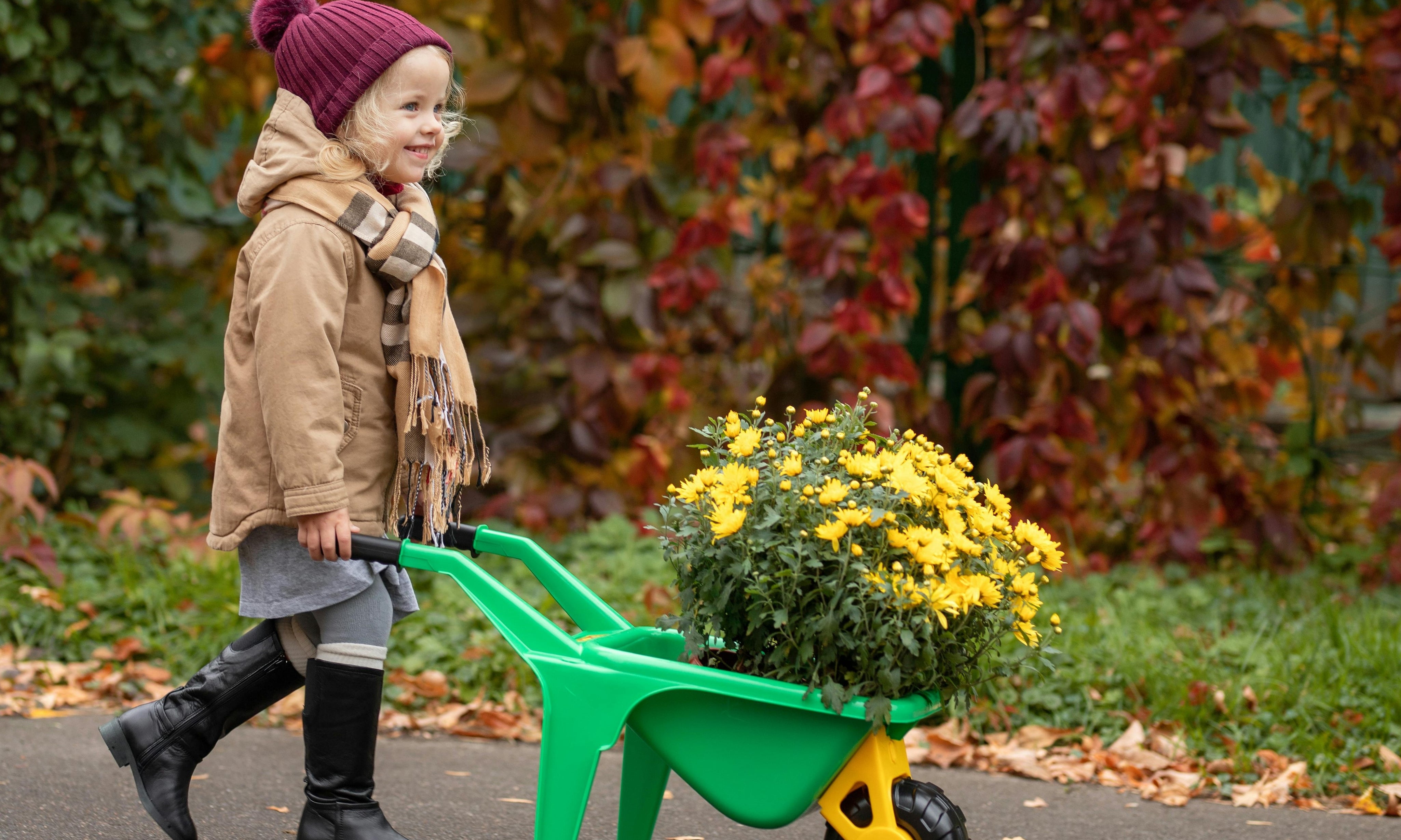 5 Natural Remedies Every Parent Should Have This Fall