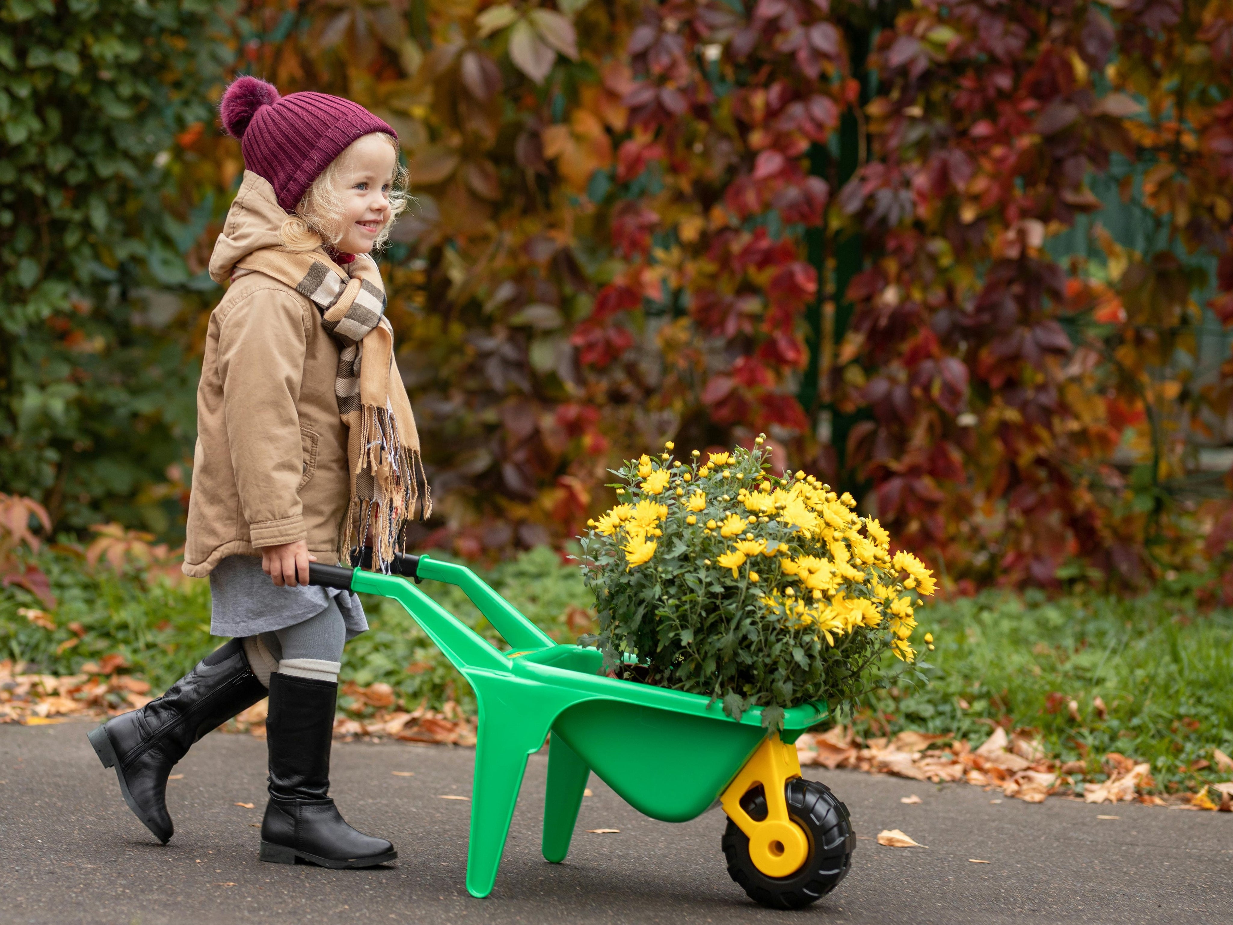 5 Natural Remedies Every Parent Should Have This Fall