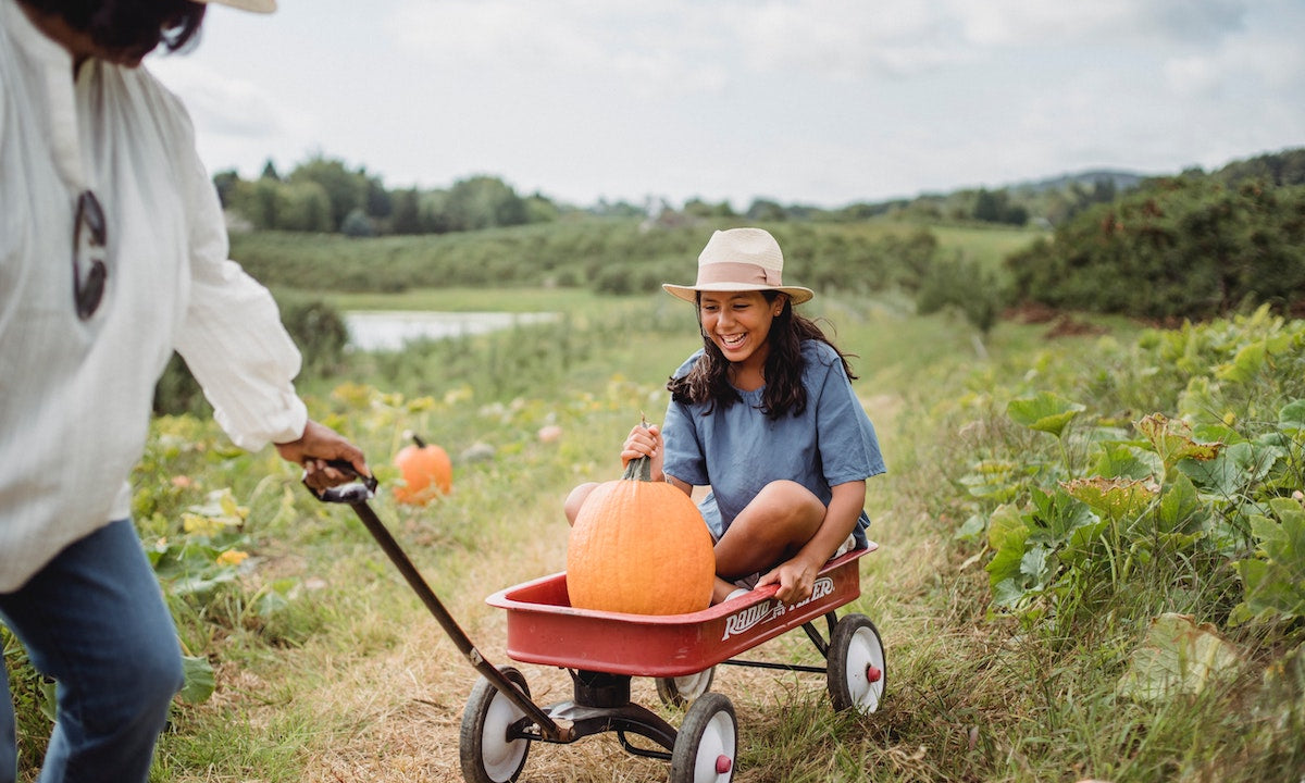 5 Great Nutrition Benefits of Pumpkin