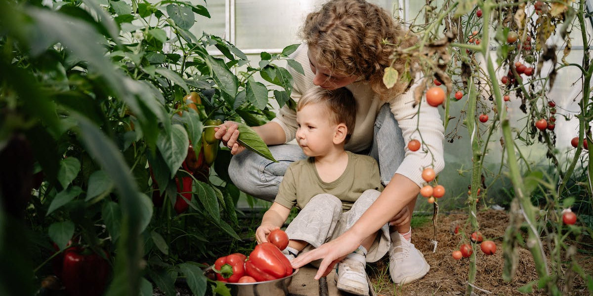 Harvesting Good Health: Fall Nutrition Tips for Kids