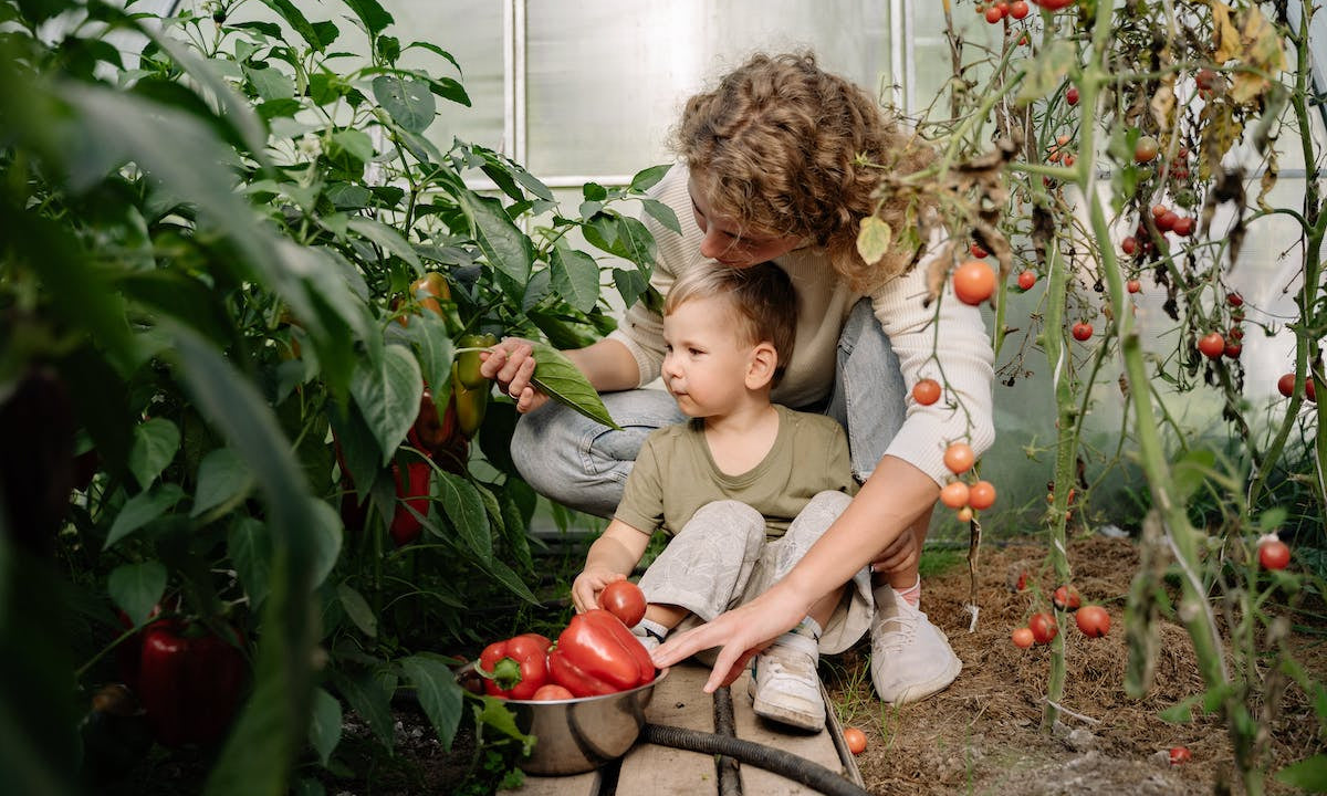 Harvesting Good Health: Fall Nutrition Tips for Kids