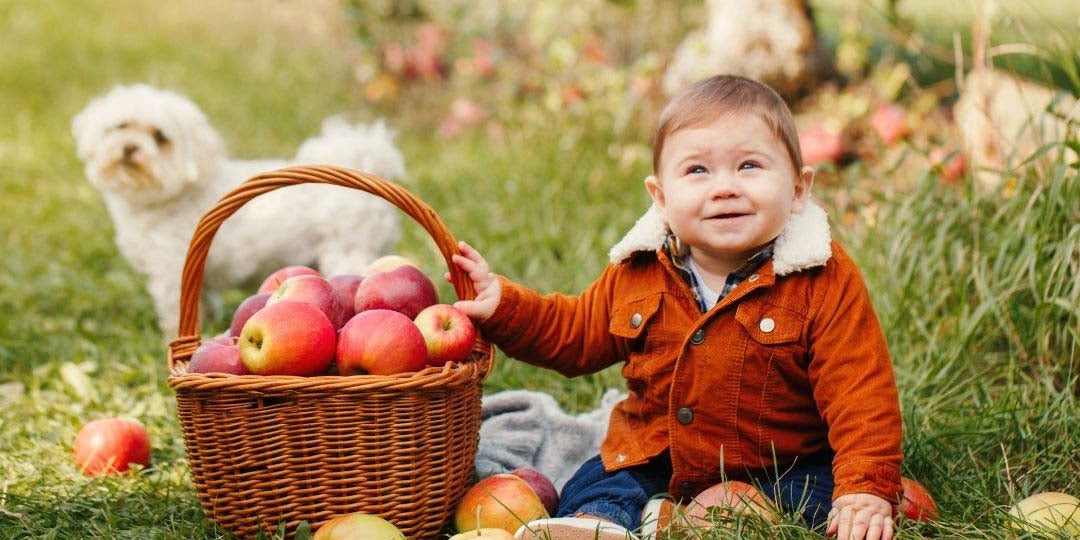 Top Produce For Fall