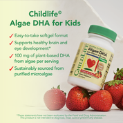Algae DHA