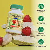 Algae DHA