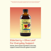 Elderberry + Olive Leaf For Everyday Support